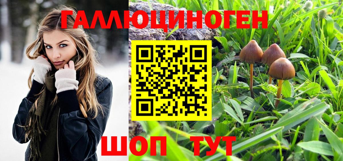 Псилоцибиновые грибы прущие грибы Костомукша