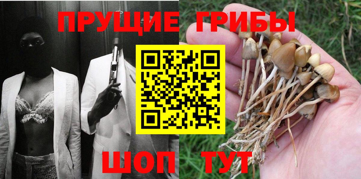 закладка  Галлюциногенные грибы Cubensis  Псилоцибиновые грибы Cubensis  Вход с VPN  Костомукша 